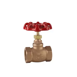 DN15 DN100 brass globe valve NPT screw type thread bronze globe valve