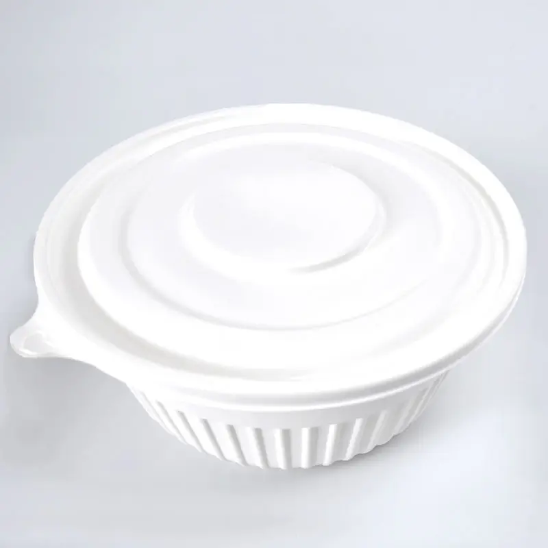 Confezione per alimenti in Pla per uso alimentare stoviglie in Pla scatola per alimenti da asporto contenitore singolo in Pla compostabile biodegradabile a doppio scomparto