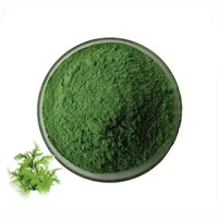Poudre de spiruline de haute qualité, extrait naturel de spiruline en poudre