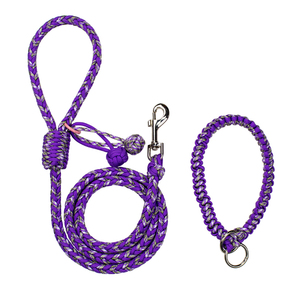 Correa de Nailon Trenzado Rosa Turquesa para Perros Medianos, Diseño Manos Libres, Reflectante, Estilo Simple - Product Image 6
