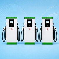 Cargador Rápido DC de 160kW para Estación de Carga de Vehículos Eléctricos en Edificios Comerciales, OCPP, de Pie, con Doble Conector, para Uso Público, WrightCharge