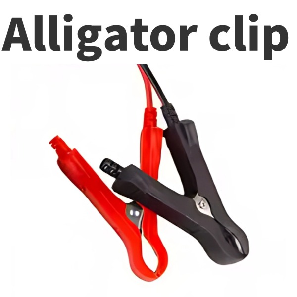 Alligator