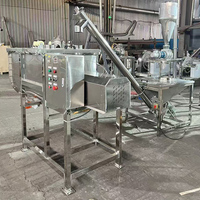 Mélangeur à ruban en acier inoxydable de 300 L pour le mélange de poudres alimentaires |   Mélangeur horizontal industriel pour farine et épices