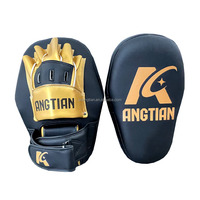 ANGTIAN Fournisseur Personnalisé Classique Poids Léger Entraînement Air Thai Pads Fight Gear Impact MMA Boxe Air Thai Pads