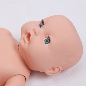 Modelo médico DARHMMY, maniquí de enfermería, modelo de cordón umbilical y placenta neonatal para ciencia médica - Product Image 2