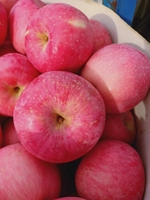 Zoete Gala Appels Verse Appel Maat 80-120, Fuji Rode Appels Uit China Fabriek