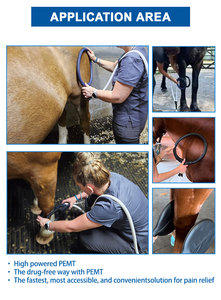 PEMF Cavalo Mala Projeto Eletromagnético Fisioterapia Cavalo Dor Redução Pemf Loop Magnético Physio Dispositivo - Product Image 4
