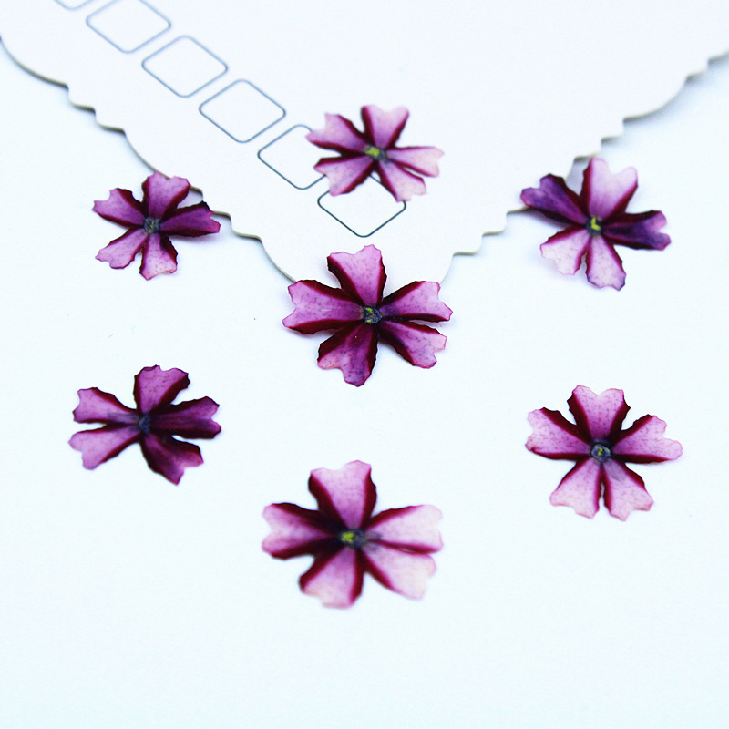 purple 100pcs