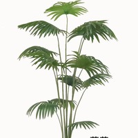 Plantes vertes artificielles : Palmier Areca, Palmier Coco, Palmier pour l'aménagement paysager, la décoration de la maison et des hôtels