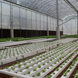 L'agriculture sous serre révolutionne l'agriculture hydroponique PVC NFT systèmes de ravins pour la laitue - Product Image 3