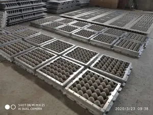 Customized High Precious 30 Cells Egg Box/tray Mould Installed Paper Moulding Making Machine