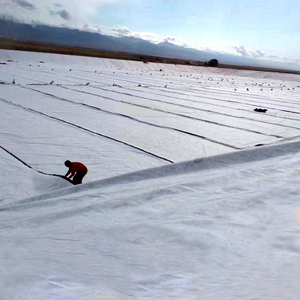 Thiết kế công nghiệp sợi ngắn spunbond vải địa kỹ thuật không dệt vải cuộn vật nuôi & Polypropylene vải không dệt - Product Image 3