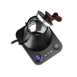 Hervidor eléctrico <span class=keywords><strong>con</strong></span> cuello de cisne de acero inoxidable para café <span class=keywords><strong>con</strong></span> logotipo personalizado, hervidor de agua lavado a mano, termostático eléctrico inteligente - Product Image 3