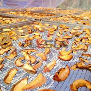 เครื่องอบแห้งลูกพลับเครื่องอบผลไม้เครื่องอบแห้งลูกพลับอุปกรณ์อบแห้งผลไม้ - Product Image 3