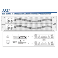 Égaliseur graphique double canal 31 bandes 2231 pour équipement DJ, égaliseur audio 2231 pour karaoké et performances sonores