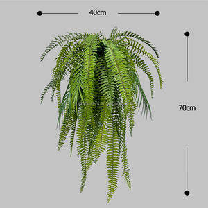 Gran oferta <span class=keywords><strong>de</strong></span> plástico verde plantas tropicales Boston helecho espada helecho cesta colgante para decoración <span class=keywords><strong>de</strong></span> boda - Product Image 3