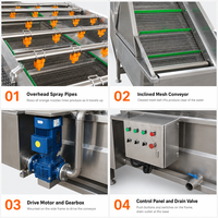 Automatische fruit- en luchtbellenwasmachine voor het reinigen van champignons en tomaten in een fruit- en groenteverwerkingsfabriek