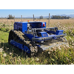 Tondeuse à gazon industrielle sans fil de 550 mm, haute efficacité, agricole, CE EPA, autopropulsée, télécommandée - Product Image 2