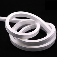 Choix Amazon : Lampe murale LED néon en forme de cœur, lune, nuage, dinosaure pour hôtels, avec câble flexible en PVC et fil de cuivre pur, IP65, DC12V