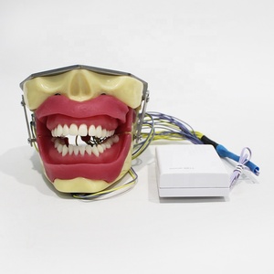 Modelo <span class=keywords><strong>de</strong></span> Entrenamiento para Extracción Dental con Anestesia, Maniquí Anatómico Dental con Buzzer para Escuelas <span class=keywords><strong>de</strong></span> Ciencias Médicas y Hospitales, Material PVC - Product Image 1