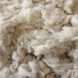 Déchets de coton blanc de grade A et B et Lickerin pour la fabrication de fil, 10-35% de déchets, longueur 18-20mm, provenant du Vietnam - Mme Claire - Product Image 1