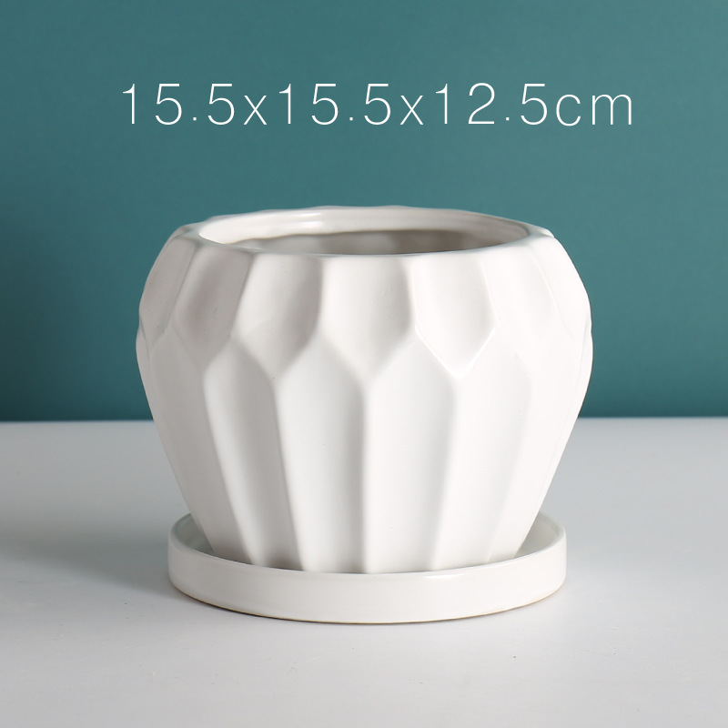 White (without Plate)