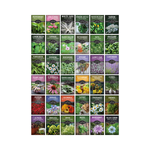 36 variétés de kits d'herbes en fibres végétales pour la culture d'herbes essentielles - Écologiques pour la maison et l'extérieur - Product Image 2