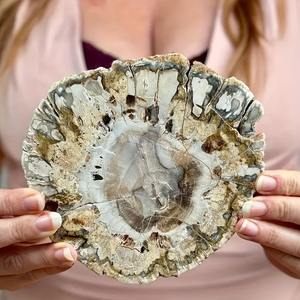 Plateau à thé et accessoires de décoration de bureau 300-400g, en pierre brute de cristal brut, sous forme de tranches de bois pétrifié, ou de dalles fossiles - Product Image 4