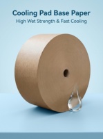 Papier de refroidissement enduit de résine pour la production de coussinets de refroidissement évaporatifs, papier pour rideaux humides d'élevage