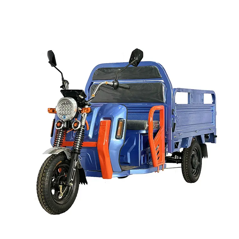 Chinese Manufacturer Electric Cargo Motorcycle 3 Wheel Powered Delivery Electric 1000W Permanent Magnetic Force