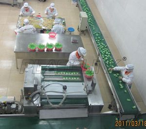 Penjualan laris garis konveyor sabuk PU atau PVC datar standar dengan kecepatan variabel kebisingan rendah miring berlari - Product Image 6