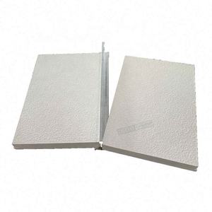 Plafond en grille T pour la décoration intérieure, tuiles de plafond 2x2, approvisionnement en Russie, Moscou, Saint-Pétersbourg, marché, plafonds acoustiques minéraux de haute qualité, ignifuges - Product Image 1