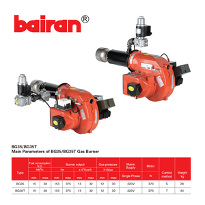 Brûleurs à gaz en acier inoxydable BAIRAN, directement <span class=keywords><strong>de</strong></span> l'usine chinoise, pièces <span class=keywords><strong>de</strong></span> chaudière industrielle, brûleurs à gaz économes en énergie <span class=keywords><strong>pour</strong></span> chaudière à vapeur - Product Image 1