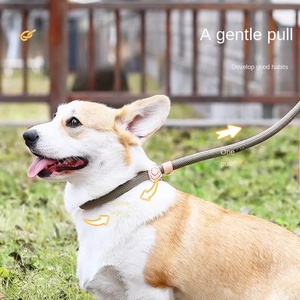 耐用的狗皮带手拉绳P链项圈，适用于小狗和金毛猎犬，适用于猫防破防爆 - Product Image 4