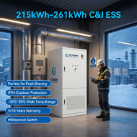 Gabinete de Baterías para Exteriores IP54, 166.4V 314Ah 261kwh, Gabinete de Baterías de Litio LifePO4 para Sistemas de Almacenamiento de Energía Industrial y Comercial