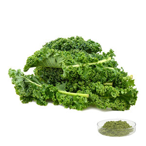 Chinesisches reines natürliches Bio-Gemüse kohl pulver - Product Image 2