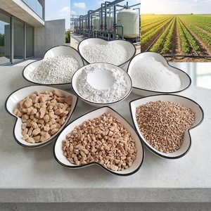 Vendita calda Diatomite Versatile minerale diatomee <span class=keywords><strong>terra</strong></span> per la costruzione agricoltura trattamento delle acque e cosmetici - Product Image 1