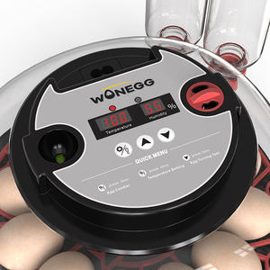 Incubateurs automatiques pour poulets et cailles WONEGG, incubateur pour 12 œufs, automatique avec bouteilles de remplissage d'eau - Product Image 3