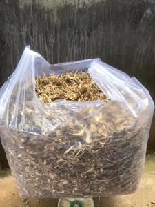 MEILLEUR PRIX D'ARTICHAUT NATUREL SÉCHÉ AU VIETNAM AVEC DES QUANTITÉS EN VRAC ET DE QUALITÉ ÉLEVÉE - Product Image 2