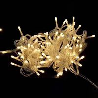 Guirlandes lumineuses de Noël à DEL pour intérieur/extérieur personnalisées IP44 Pixel Éclairage de fête en chaîne par OEM Factory Outlet
