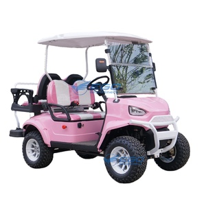 Carrito de Golf Eléctrico de Color Rosa, de Alta Calidad, de Fábrica, Personalizable, Nuevo, 48V 5KW, 2/4/6 Plazas, Mini, con Certificación CE - Product Image 1