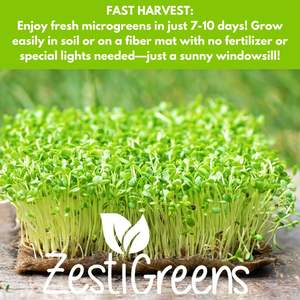 Assortiment de 10 variétés de micro-pousses biologiques : mélange de brocoli, de daikon, de radis, de chou rouge épicé, <span class=keywords><strong>d</strong></span>'arugula pour la culture en pots et jardinières - Product Image 4