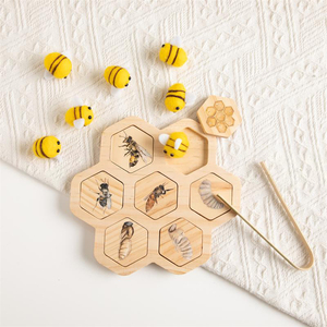 Natürliches Holz Bienen-Lebenszyklus Zuordnungsspielzeug für Kleinkinder Montessori Wissenschaftsspielzeug Wabenform Insekten-Lernspiel für Kinder - Product Image 6