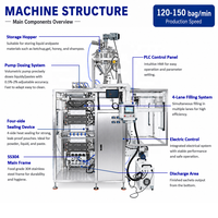 Machine d'emballage alimentaire automatique CE à prix d'usine pour le remplissage et la scellure de sachets liquides de forme irrégulière à 2/4/6 voies pour gel énergétique