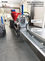 Ligne de granulation économique pour PE et PP, vis simple de 90 mm pour les startups de recyclage