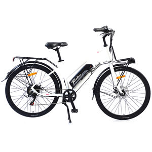 Vélo <span class=keywords><strong>électrique</strong></span> haute performance au design coloré 36V/300W, fourche en acier robuste et cadre en alliage pour les cyclistes plus jeunes - Product Image 1
