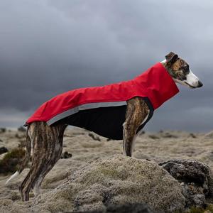 Qiqu Pet Supplies Custom New Designer Whippet Softshell Jacket Jumper pour Greyhound <span class=keywords><strong>Saluki</strong></span> Lurcher Italian Greyhound Avec fermeture éclair - Product Image 1