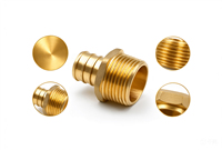 Adaptateur en laiton sans plomb PEX vers MNPT F1807, connecteur droit à sertir pour l'alimentation en eau de la plomberie