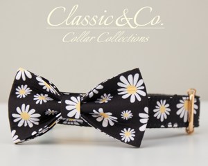 Collier et laisse pour chien en velours personnalisé Daisy Solid avec nœud papillon, gravure personnalisée du nom de l'animal, boucle en métal, cadeau d'anniversaire pour chiot, couleur lilas - Product Image 4