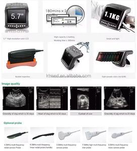 <span class=keywords><strong>เครื่อง</strong></span>อัลตราซาวด์สัตวแพทย์แบบพกพา <span class=keywords><strong>เครื่อง</strong></span>อัลตราซาวด์สัตว์เลี้ยง อีโคกราโฟสัตวแพทย์แบบพกพา อัลตราซาวด์สัตวแพทย์ - Product Image 4